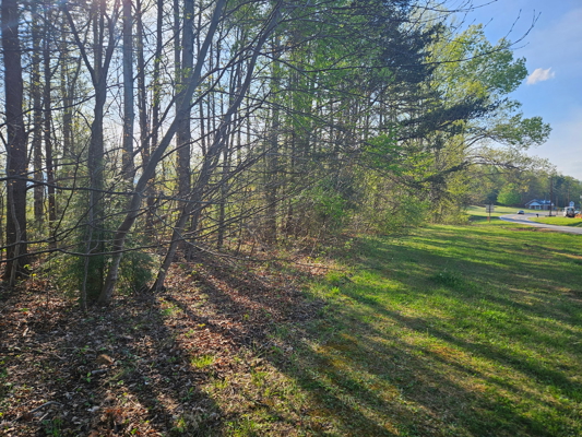 Land for Sale in Patrick County, VA