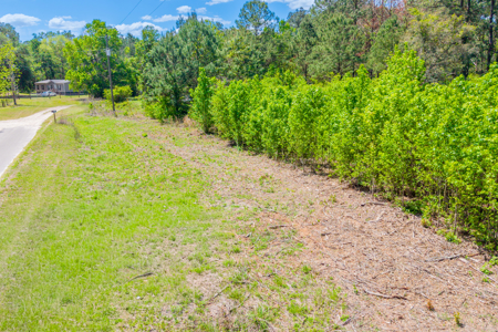 1.15 Acre Lot in Saddle Brook Union County FL – Build or Mobile H - image 3