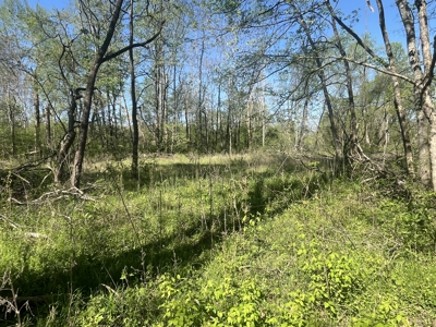 New Construction, 17.33 Acres – TN Country Living in Lutts, TN! - image 31