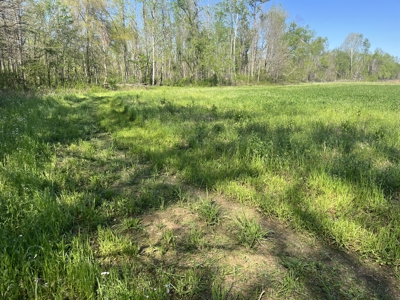 New Construction, 17.33 Acres – TN Country Living in Lutts, TN! - image 22