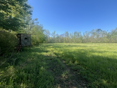 New Construction, 17.33 Acres – TN Country Living in Lutts, TN! - image 19