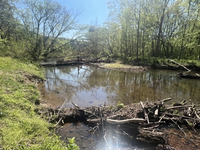 New Construction, 17.33 Acres – TN Country Living in Lutts, TN! - image 32