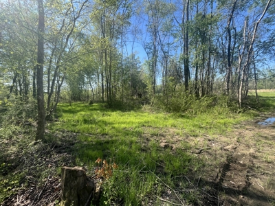 New Construction, 17.33 Acres – TN Country Living in Lutts, TN! - image 16