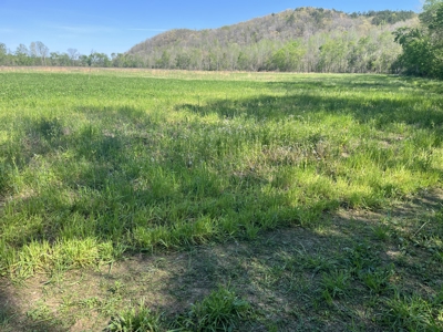 New Construction, 17.33 Acres – TN Country Living in Lutts, TN! - image 21
