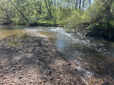 New Construction, 17.33 Acres – TN Country Living in Lutts, TN! - image 36