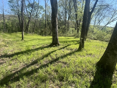 New Construction, 17.33 Acres – TN Country Living in Lutts, TN! - image 33