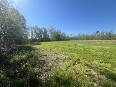 New Construction, 17.33 Acres – TN Country Living in Lutts, TN! - image 18