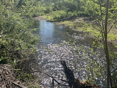 New Construction, 17.33 Acres – TN Country Living in Lutts, TN! - image 27