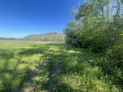 New Construction, 17.33 Acres – TN Country Living in Lutts, TN! - image 20