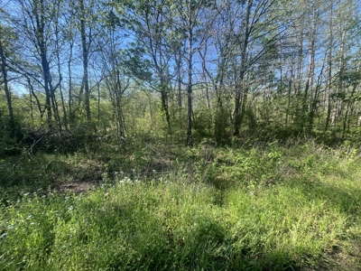 New Construction, 17.33 Acres – TN Country Living in Lutts, TN! - image 23