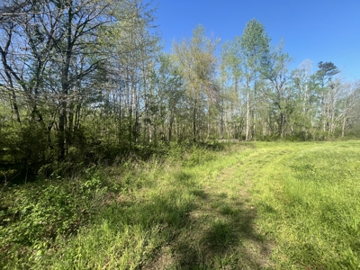 New Construction, 17.33 Acres – TN Country Living in Lutts, TN! - image 24