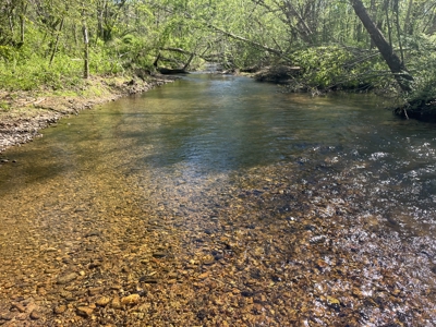 New Construction, 17.33 Acres – TN Country Living in Lutts, TN! - image 37