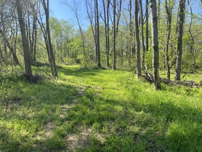 New Construction, 17.33 Acres – TN Country Living in Lutts, TN! - image 29