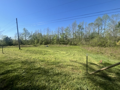 New Construction, 17.33 Acres – TN Country Living in Lutts, TN! - image 13
