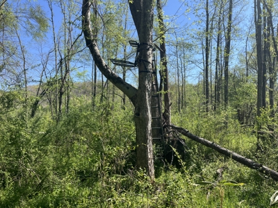 New Construction, 17.33 Acres – TN Country Living in Lutts, TN! - image 39