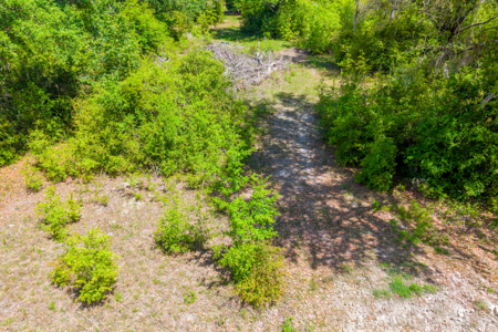 1.18 Acre Vacant Wooded Lot for Sale in Union County, Florida - image 2