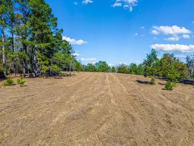 Land For Sale - Union County- North Florida - image 2