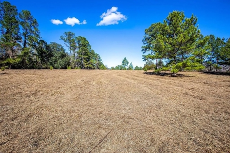 Land For Sale - Union County- North Florida - image 6
