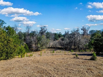 Land For Sale - Union County- North Florida - image 3