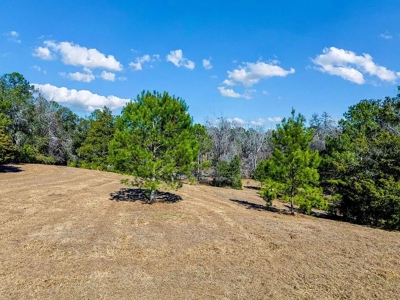 Land For Sale - Union County- North Florida - image 5