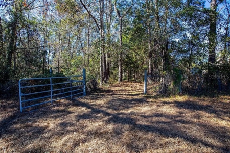 Land For Sale - Union County- North Florida - image 7