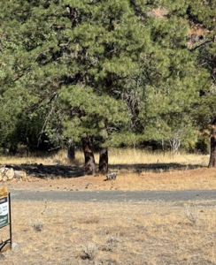 Three Parcel Lot in Naches, WA - image 2