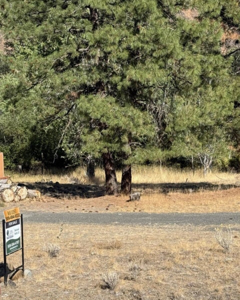 Three Parcel Lot in Naches, WA - image 3