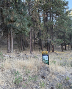 Scenic Wooded Acreage Lot in Naches, WA - image 2