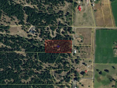Scenic Wooded Acreage Lot in Naches, WA - image 1