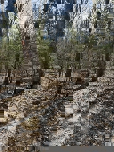 Small acreage for sale in Douglas County Mo - image 3