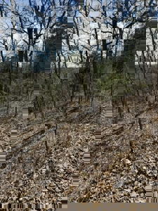 Small acreage for sale in Douglas County Mo - image 2