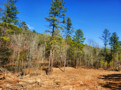 Hardy Creek Estates Tract #28- 11 ACRES W/ HARDY CREEK FRONTAGE - image 7