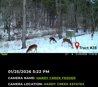 Hardy Creek Estates Tract #28- 11 ACRES W/ HARDY CREEK FRONTAGE - image 5