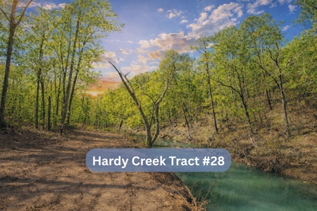 Hardy Creek Estates Tract #28- 11 ACRES W/ HARDY CREEK FRONTAGE - image 9