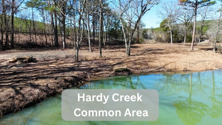 Hardy Creek Estates Tract #28- 11 ACRES W/ HARDY CREEK FRONTAGE - image 2