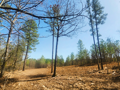 Hardy Creek Estates Tract #28- 11 ACRES W/ HARDY CREEK FRONTAGE - image 8