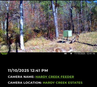 Hardy Creek Estates Tract #28- 11 ACRES W/ HARDY CREEK FRONTAGE - image 6