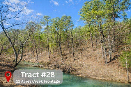 Hardy Creek Estates Tract #28- 11 ACRES W/ HARDY CREEK FRONTAGE - image 4