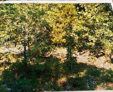 Plot Of Land For Sale In Cherokee Village, Ar - image 6