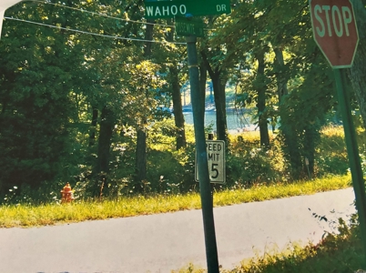 Plot Of Land For Sale In Cherokee Village, Ar - image 5