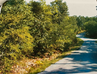 Plot Of Land For Sale In Cherokee Village, Ar - image 4