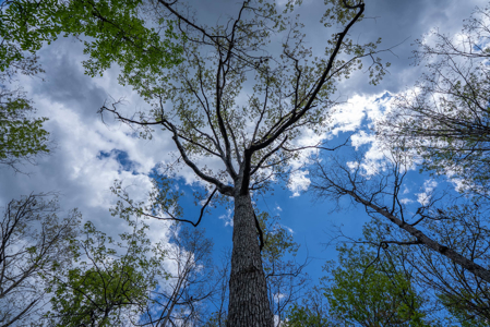 3.31 Acres Near Norfolk Lake and the White River | Mountain Home - image 17