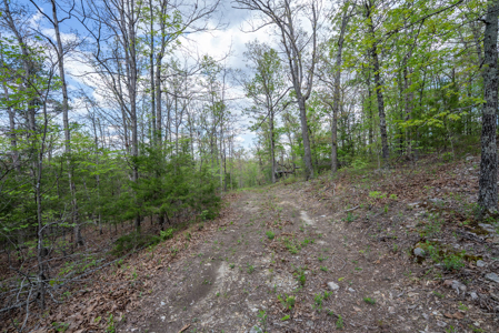 3.31 Acres Near Norfolk Lake and the White River | Mountain Home - image 19