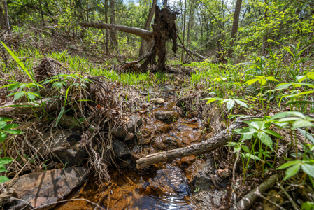 3.31 Acres Near Norfolk Lake and the White River | Mountain Home - image 11