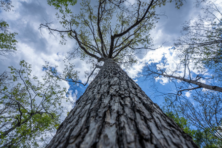 3.31 Acres Near Norfolk Lake and the White River | Mountain Home - image 18