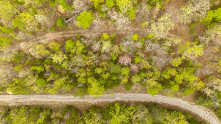 3.31 Acres Near Norfolk Lake and the White River | Mountain Home - image 9