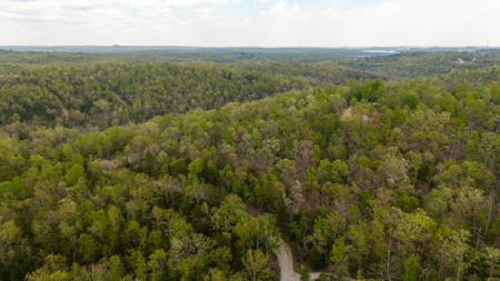 3.31 Acres Near Norfolk Lake and the White River | Mountain Home - image 8