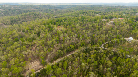 3.31 Acres Near Norfolk Lake and the White River | Mountain Home - image 5