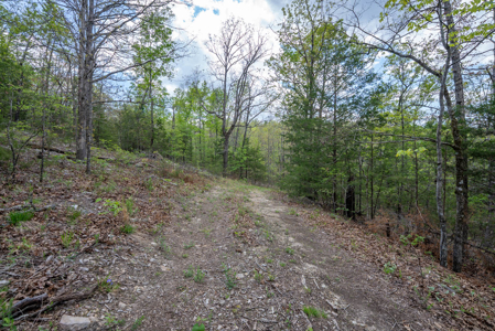 3.31 Acres Near Norfolk Lake and the White River | Mountain Home - image 20