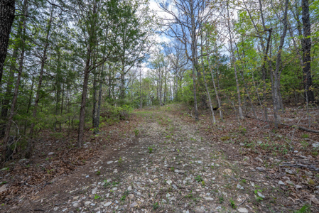 3.31 Acres Near Norfolk Lake and the White River | Mountain Home - image 16